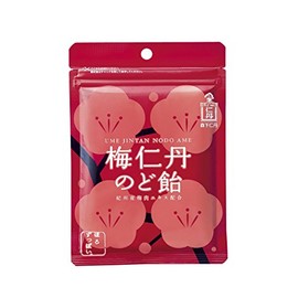 梅仁丹 のど飴60g(約17粒)×5袋