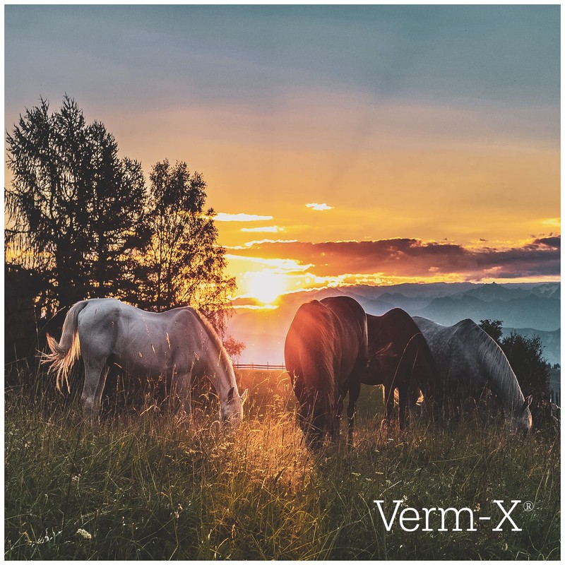 Verm-X Original Pellets for Horses and Ponies, All Natural Supplement,