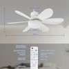 DBFAIRY Ceiling Fan with Lighting, Ceiling Fan with Dimmable Light