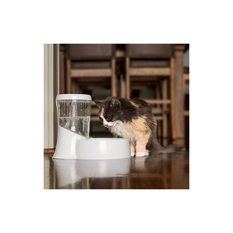 Petmate Fresh Flow Rain Battery Fountain for Cats and Dogs,