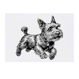 'Scottish Terrier Running' Temporary Tattoo - Water Resistant, Skin-Safe, Non-Toxic Transfer (TO00081895)
