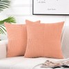 Fancy Homi 2 Packs Peach Decorative Throw Pillow Covers 16x16
