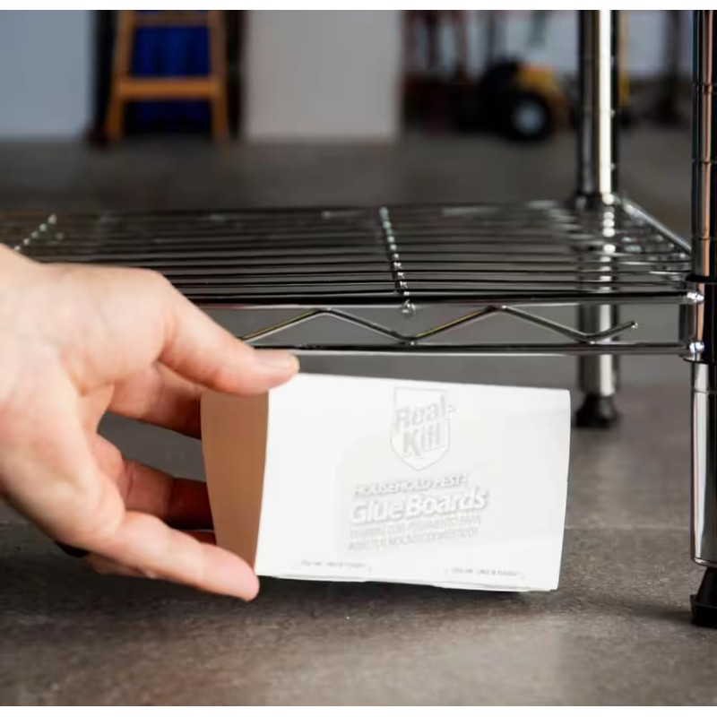 Real-Kill Household Pest Glue Boards (4-Count) (1)