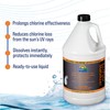 Lo-Chlor Ez-Pour Chlorine Stabilizer For Pool - Liquid Cyanuric Acid