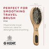 Kent Brushes PF02 Perfect for Smoothing Small Cushion Brush, Wood