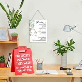 Hiagkmet Funny Office Desk Decor Boss Leader Sign, Bosses Day Gifts No Crisis Allowed This Week Office Decorative Signs, Christmas White Elephant Gifts for Teacher Principal Coworker Cubicle Accessories