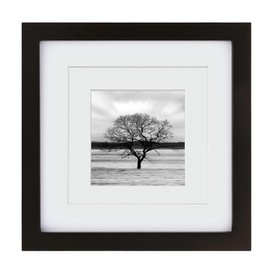 Egofine 8x8 Picture Frame Made of Solid Wood with Plexiglass, Display Pictures 4x4/6x6 with Mat or 8x8 Without Mat for Tabletop and Wall Mounting, Black