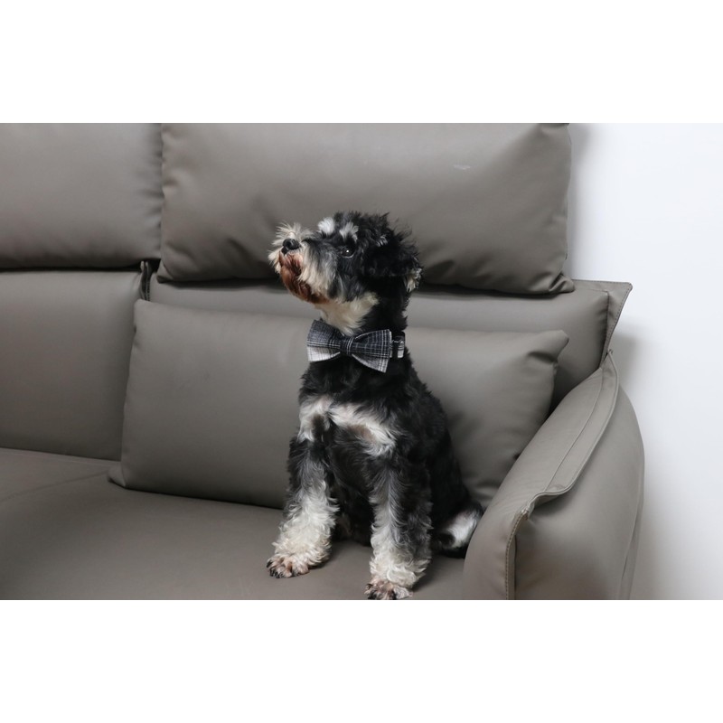Lionet Paws Gird Dog Collar with Plastic Buckle, Cotton Fall