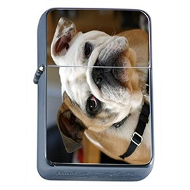 Dog Bulldog 01 Oil Lighter