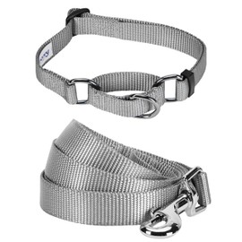 Blueberry Pet Essentials Matching Martingale Dog Collar and Leash Set in Flint Gray, Heavy Duty Nylon Adjustable Collars with 5 ft Leash for Medium Dogs
