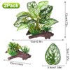 BEGONDIS 2Pcs Reptile Artificial Plants, Terrarium Plants Decorations Supplies, Aquarium