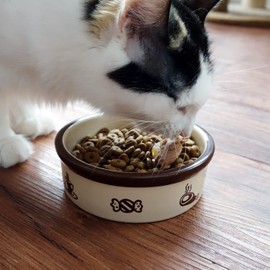 TTCAT Ceramic Cat Food Bowl,Cute Cartoon Pattern, Dog& Cat Basic Bowl, Small Pet Feeding Dishes for Cat, Kitten, Small Dog, Dishwasher Safe…