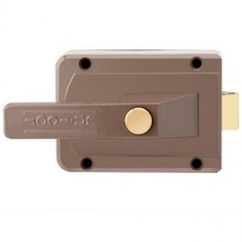 Automatic Gate Lock for Detached Homes - Push Door Smart Lock with Keypad & Key Iron Gate