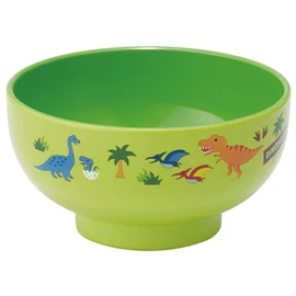 Skater N6 Painted Soup Bowl Dinosaurus