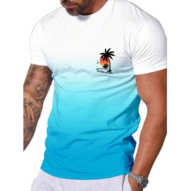 TECHNORAMA GII Men's Short-Sleeved Graphic T-Shirt Letters Fashion Printing Round Neck T-Shirt (US, Alpha, Large, Regular, Regular, White to Blue)