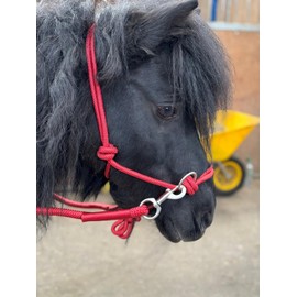 Rope headcollar with Reins for use of Bitless Horse Riding Full to Mini Shet 5 Colours (Red, Pony)