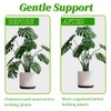 2Pcs Monstera Grapple,Monstera Leaf Plant Support,Turtle Shell Bamboo Clamp Set,Unique
