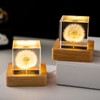 Fximey Dandelion Crystal Cube Night Light, 2 inch Transparent Cube