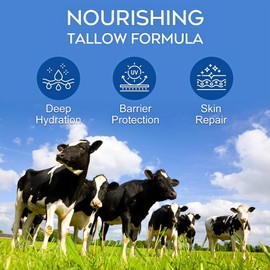 Non-Toxic Natural Mineral Sunscreen SPF 50 | Safest Organic Beef Tallow Moisturiser & Non Nano Zinc Oxide Sunscreen | Reef Safe, Clean Non-Greasy Formula Sunblock for Face & Body | Women & Men