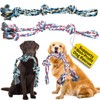 Pacific Pups Products 2 Pack Red & Blue - XL