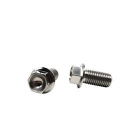 RISON Titanium Bolts M6 x 1.0 x 10 mm Titanium Screws TC4 Flange Hex Bolt Titanium Alloy Colour Titanium Flange Screw for Motorcycle, Car, Modification Hex Head Titanium Screws Pack of 5