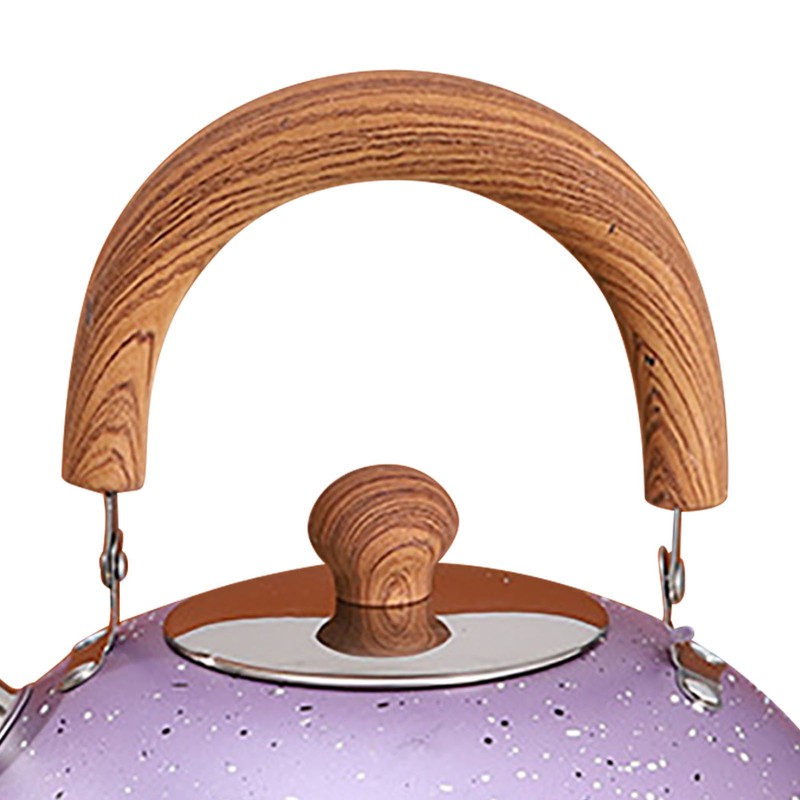 Water Kettle Stainless Steel Whistle Water Kettle Large Capacity Flat