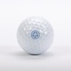 CaddyGolfStamps Leicester City The Foxes FC Golf Ball Stamper Stamp