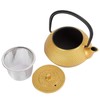 300 ml Gold Cast Iron Tea Kettle with Stainless Steel