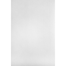 Netuno 50 x White Craft Paper Ribbed with Watermark DIN A4 297 x 210 mm 120 g Aster Laid White Letter Paper Effect Paper with Fine Ribbing Equipment Paper Design Paper Certificate Paper Design Paper