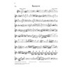 Concerto for Flute and Orchestra D major KV 314 -