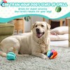 Suilung 3 Pcs Puppy Chew Toys Snuffle Mat Dog Puzzle