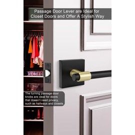 goldenwarm 1 Pack Black and Gold Passage Door Handle, Matte Black Closet Door Handle, Black and Gold Interior Lever Door Handles for Hallway, Closet(Square, Zinc Alloy)