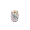 Bornd 2.4GHz Optical Wireless Mouse, Slim-Rainbow (E220 Slim-Rainbow)