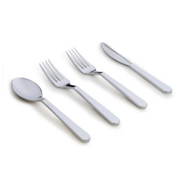 " OCCASIONS " Wedding Plastic Silverware (480 pcs, assorted, w/double fork, White and Silver)