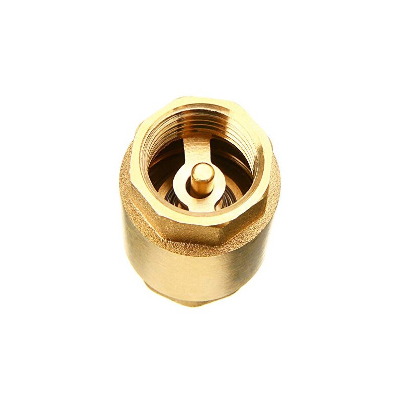 SUPERTOOL Spring Check Valve DN32 1 1/4 Inch Single Check