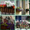 HICAS Wall Mounted Coco Liner - 24/30/36/48 Inch Wall Planter