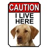CAUTION I LIVE HERE METAL GATE SIGN YELLOW LABRADOR THEME
