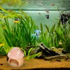 Uotyle Ceramic Fish Tank Accessories, Cute Mushroom House Aquarium Decoration,
