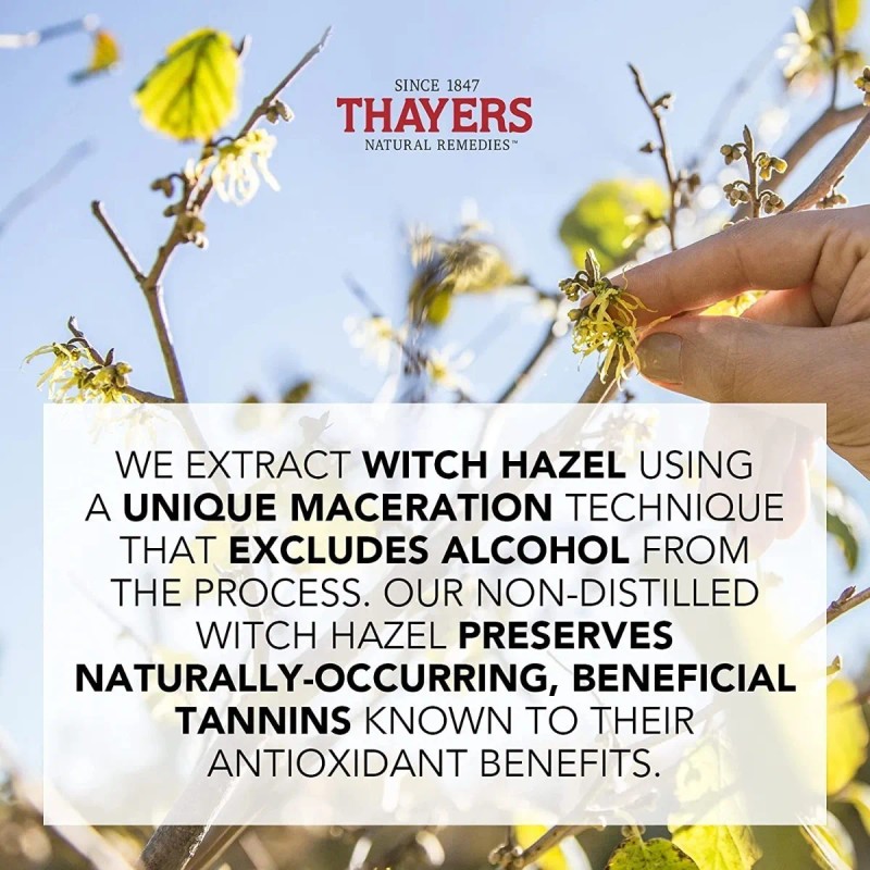 Thayers Tónico Facial Witch Hazel Rose Petal 355ml Hidratante Libre