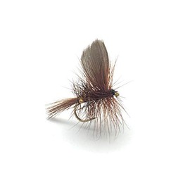 Fly Fishing Season Select Dry Fly Wickhams Fancy Set of 16 Flies with Clip Closure Fly Box #319