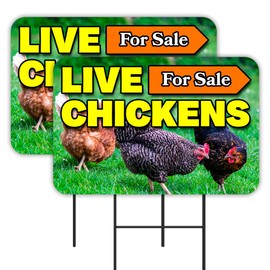 Vista Products Live Chickens For Sale 2 Pack Double-Sided Yard Signs 16" x 24" with Metal Stakes (Made in Texas)