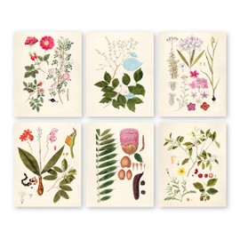 Vintage Botanical Prints | Woodland Flowers Wall Art by Ink Inc. | Wildflower Decor | Boho Farmhouse Design | Set of 6 8x10 Unframed