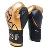 Rival RS11V-Evolution Hook and Loop Sparring Boxing Gloves - 12