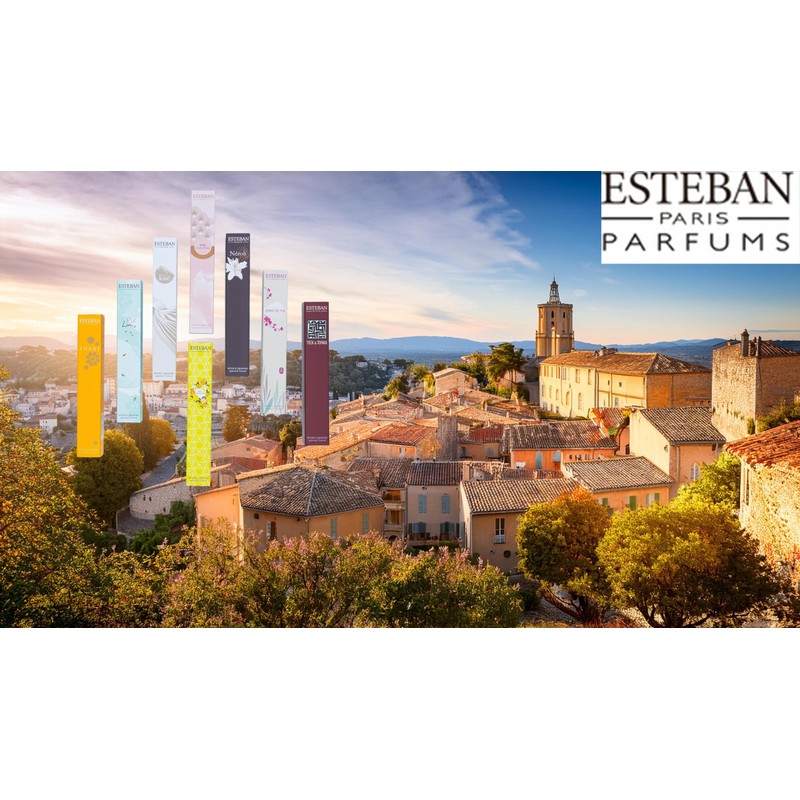 ESTEBAN Esprit De Natural Lavender Sticks 40 Sticks Combines French