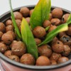 UK GROW Clay Pebbles 1L 2L 3L 4L 5L 6L