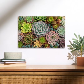 Lantern Press 12x18 Inch Premium Wood Sign, Ready to Hang Wall Decor, Arrangement of Many Colorful Succulents in a Planter Viewed from Above