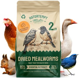 Hatortempt Dried Mealworms - 2 Lb Bag - High Protein Chicken Feed, Mealworms for Birds & Chickens - Meal Worms for Wild Birds & Turtles