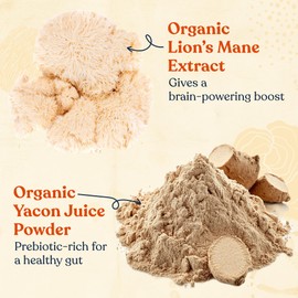 Four Sigmatic Organic Cold Brew Coffee Grounds | Dark Roast, Coarse Grounds with Lion's Mane and Chaga | Cold Brew Mushroom Coffee for Crash-Free Focus | 12 oz Bag