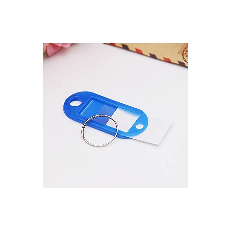 100 Pack Tough Plastic Key Tags with Label Window ID