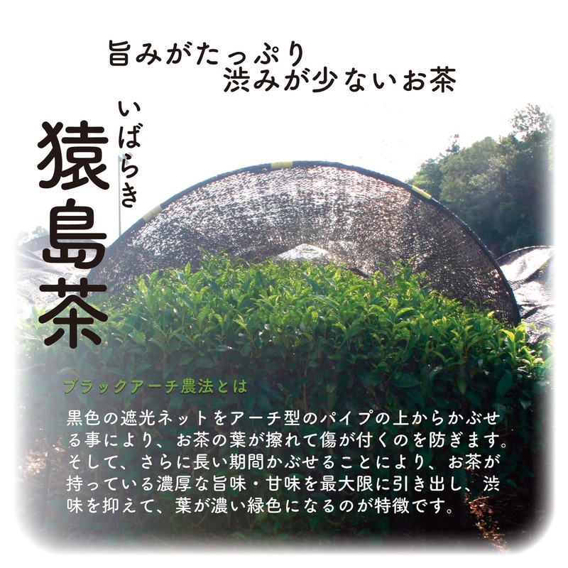 Matsuda Seicha Sashima Tea Bag with String 0.1 oz (2.5